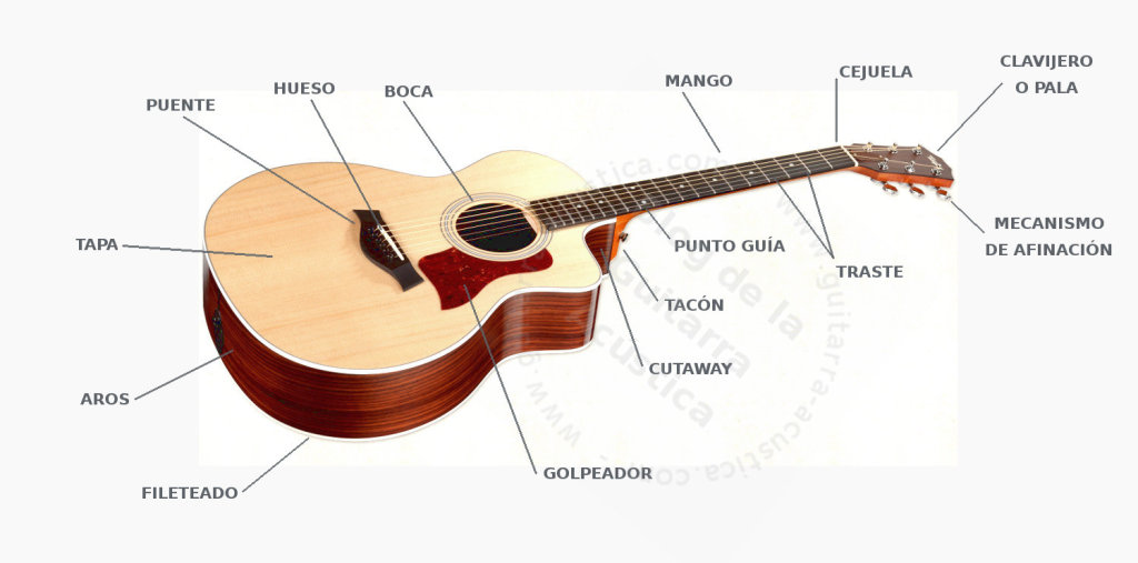 Partes De Una Guitarra Vocabulario Interactivo El Blog De La 1777